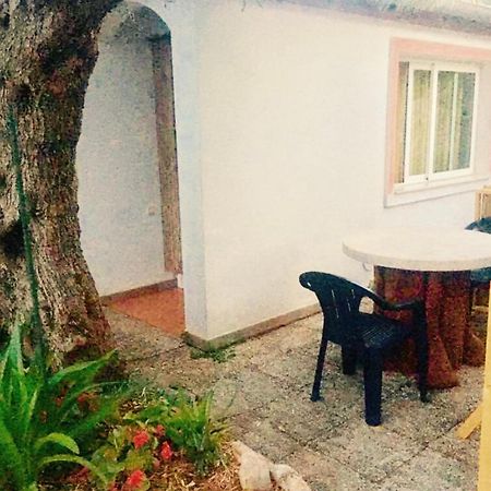 Olive Tree Apartments Ровинь Экстерьер фото